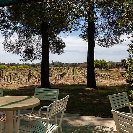 Agriturismo Tibitone منزل ريفي *